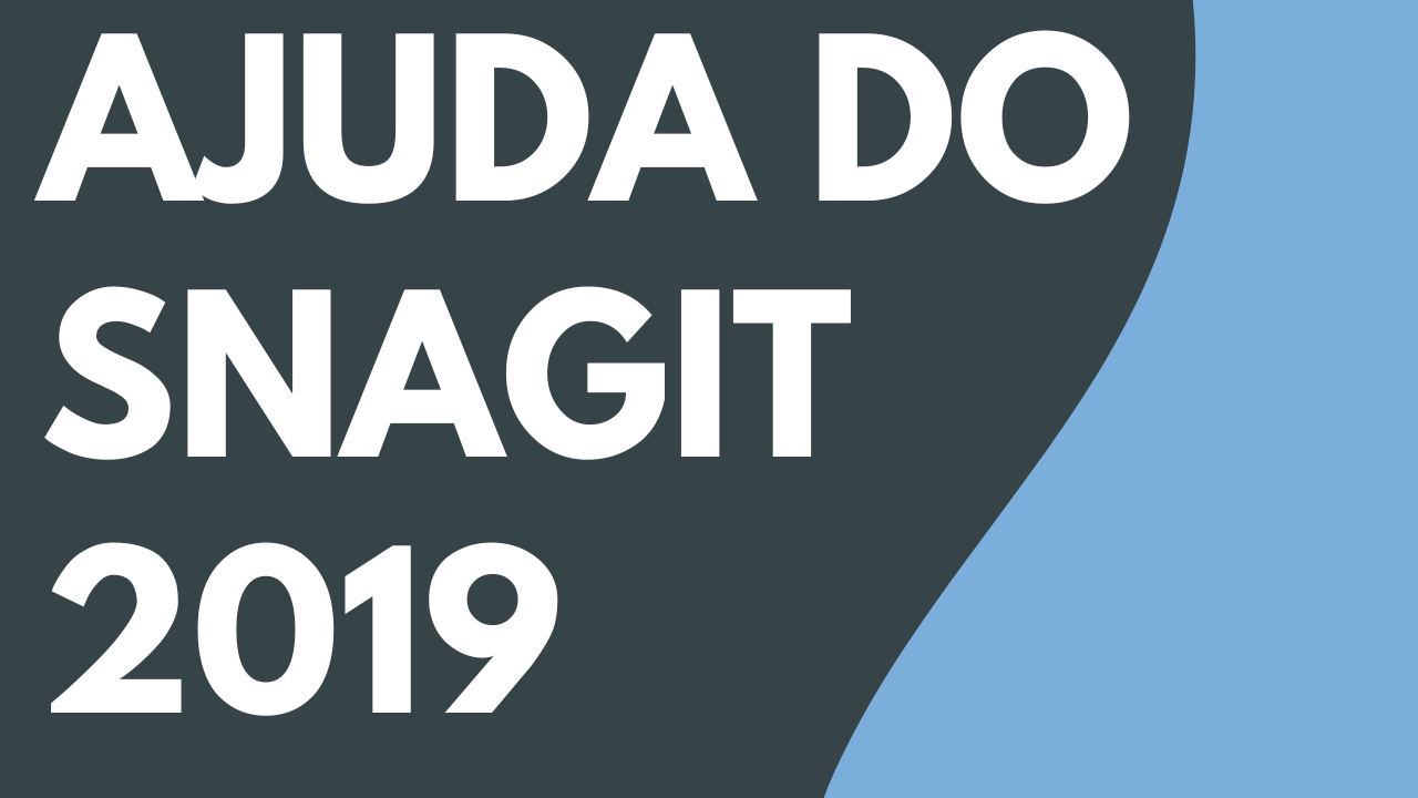 PDF da Ajuda do Snagit 2019