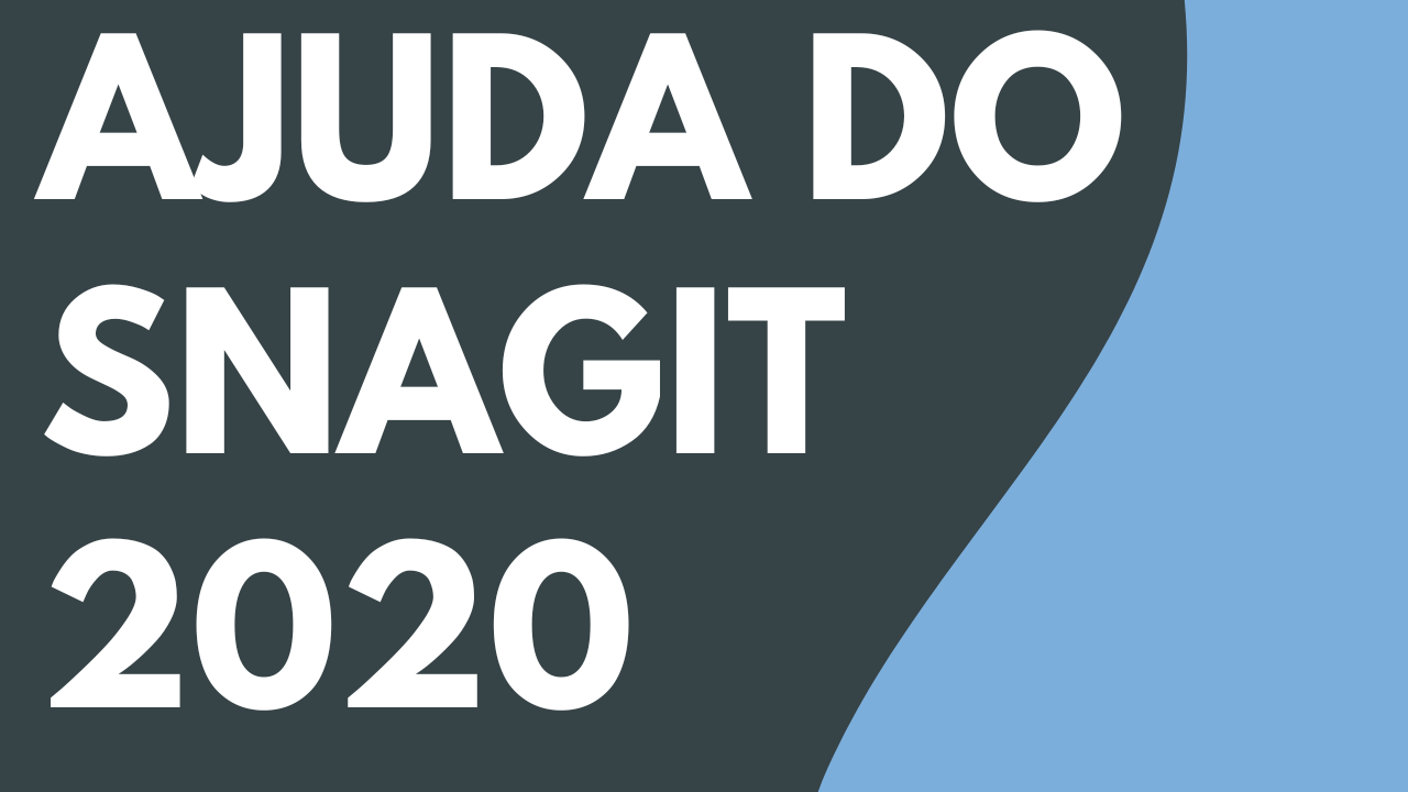 PDF da Ajuda do Snagit 2020