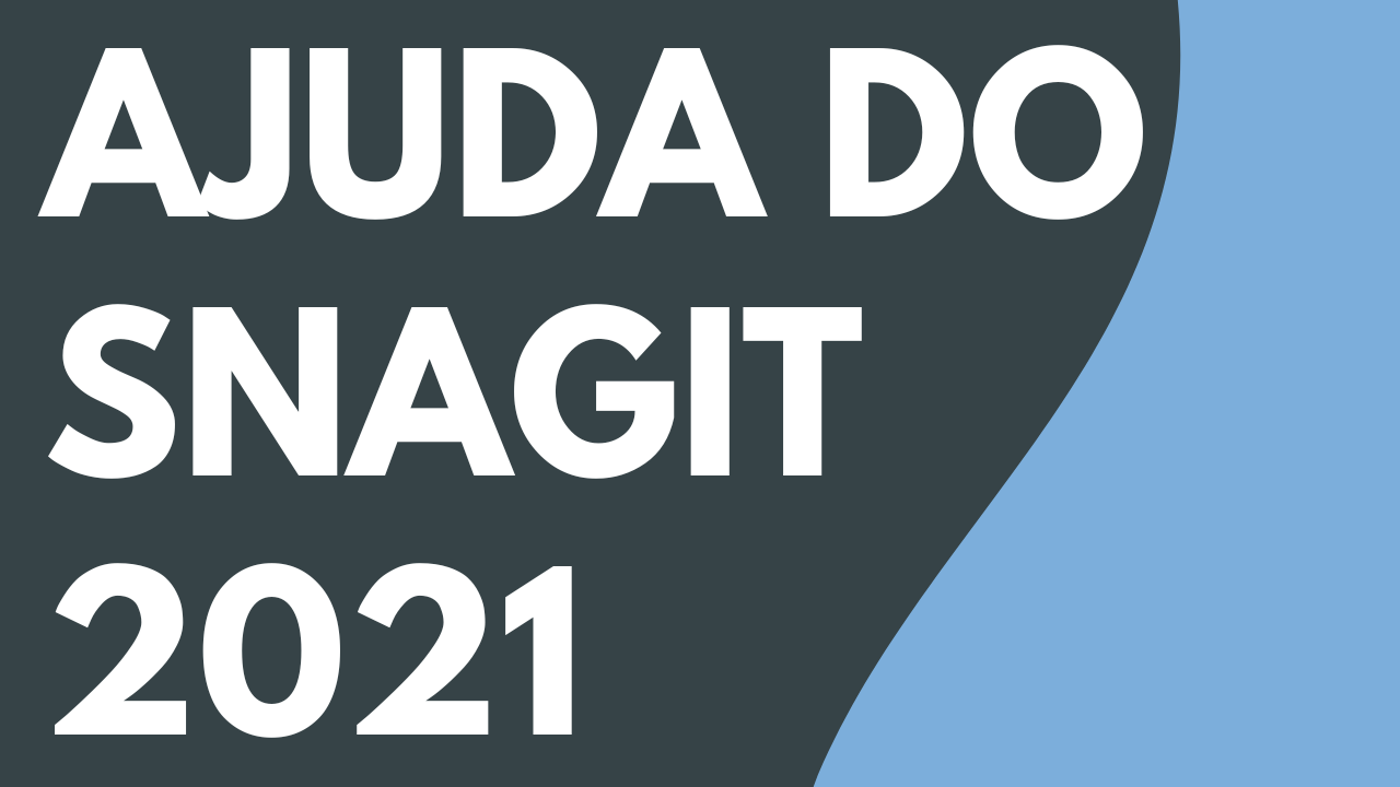 PDF da Ajuda do Snagit 2021