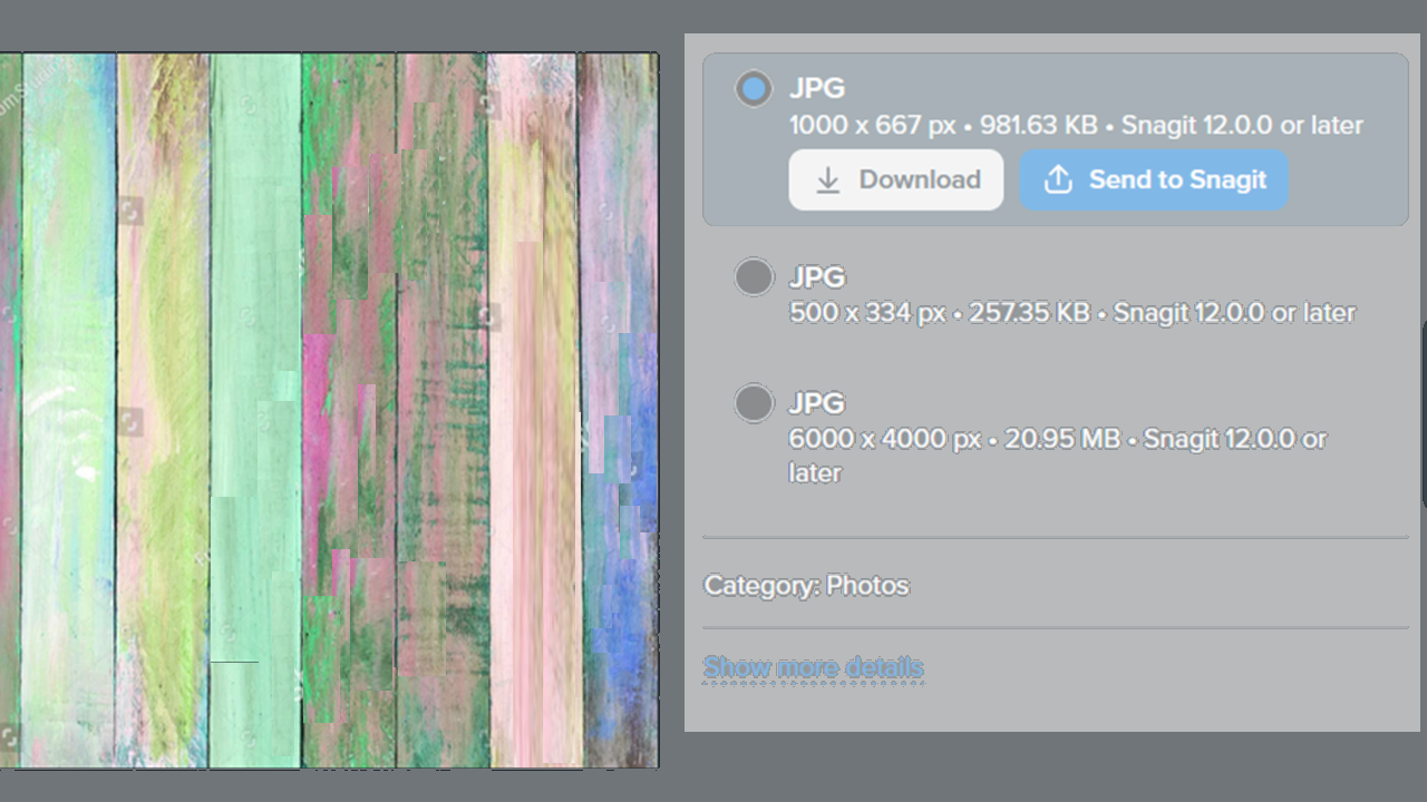 Baixar o Snagit Assets